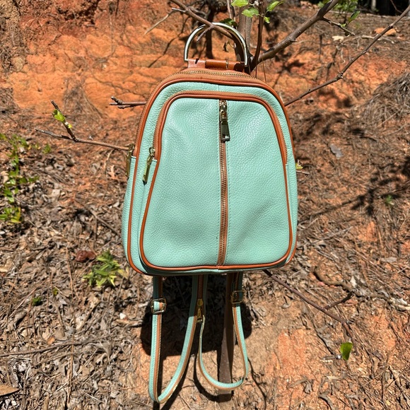 Valentina Bags Valentina Leather Dome Convertible Backpack Poshmark